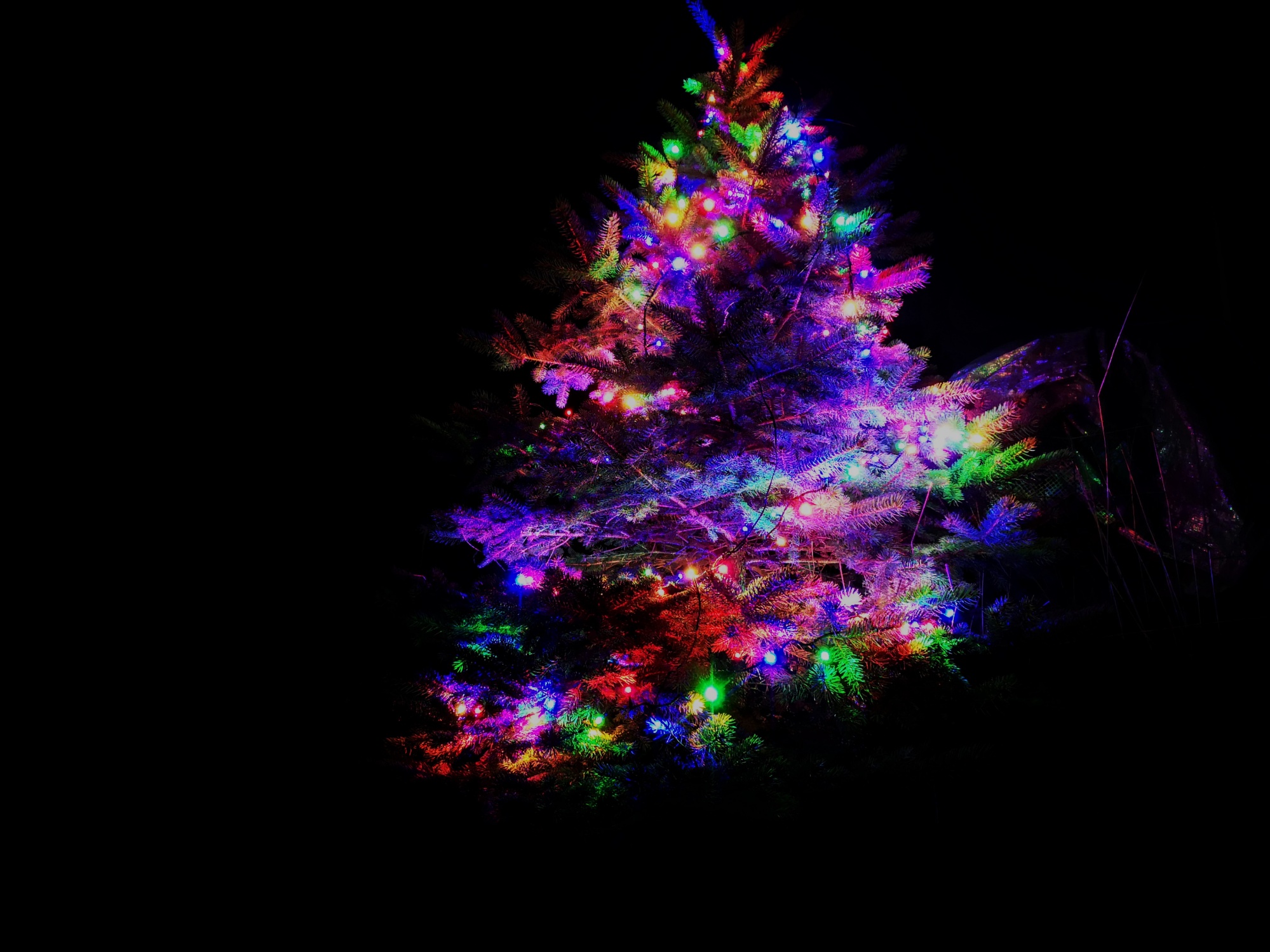 IMG 20191202 165020 01