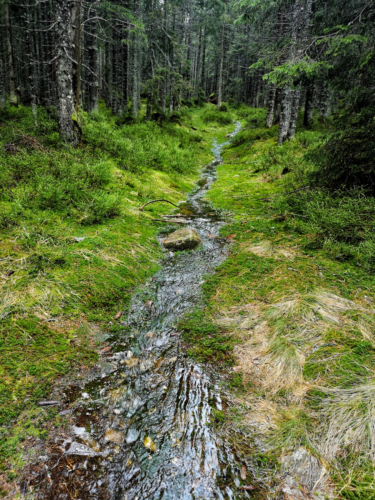 IMG 20190523 122733 01